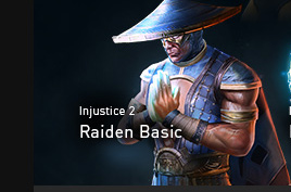 Raiden Basic